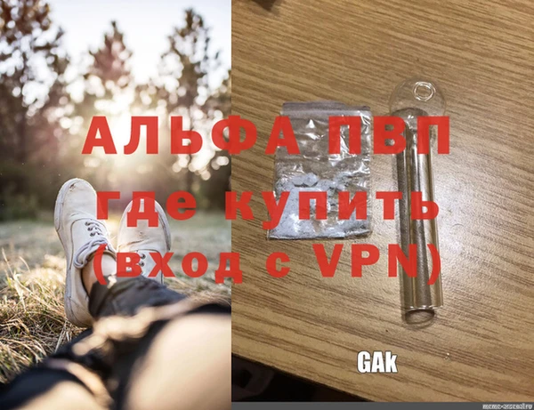 PSILOCYBIN Сатка