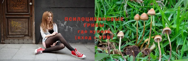 кокаин колумбия Богородицк