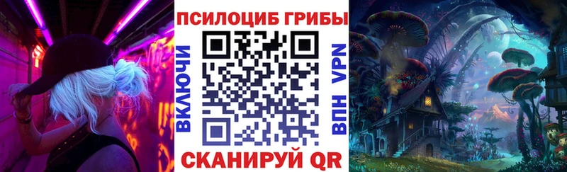 купить  цена  Тогучин  Псилоцибиновые грибы GOLDEN TEACHER 